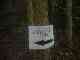 thumb_resize_dsc01006.jpg