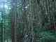thumb_resize_dsc01007.jpg