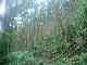 thumb_resize_dsc01010.jpg