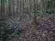 thumb_resize_dsc01012.jpg