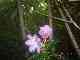 thumb_resize_dsc01013.jpg