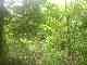 thumb_resize_dsc01015.jpg