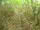 thumb_resize_dsc01017.jpg