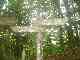 thumb_resize_dsc01019.jpg