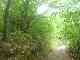 thumb_resize_dsc01020.jpg