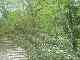 thumb_resize_dsc01031.jpg