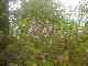 thumb_resize_dsc01033.jpg