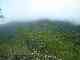 thumb_resize_dsc01034.jpg