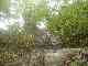 thumb_resize_dsc01039.jpg