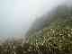 thumb_resize_dsc01045.jpg