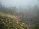 thumb_resize_dsc01056.jpg