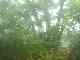 thumb_resize_dsc01059.jpg
