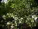 thumb_resize_dsc01668.jpg