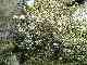 thumb_resize_dsc01676.jpg