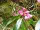thumb_resize_dsc01677.jpg