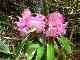 thumb_resize_dsc01678.jpg