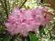 thumb_resize_dsc01679.jpg