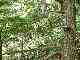 thumb_resize_dsc01685.jpg