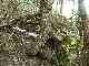 thumb_resize_dsc01686.jpg