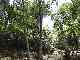 thumb_resize_dsc01687.jpg