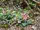 thumb_resize_dsc01690.jpg
