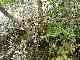 thumb_resize_dsc01691.jpg