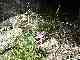 thumb_resize_dsc01694.jpg