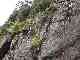 thumb_resize_dsc01695.jpg