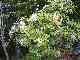 thumb_resize_dsc01704.jpg