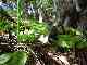 thumb_resize_dsc01706.jpg