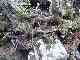 thumb_resize_dsc01708.jpg