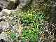 thumb_resize_dsc01710.jpg