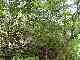 thumb_resize_dsc01711.jpg