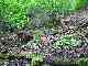 thumb_resize_dsc01712.jpg